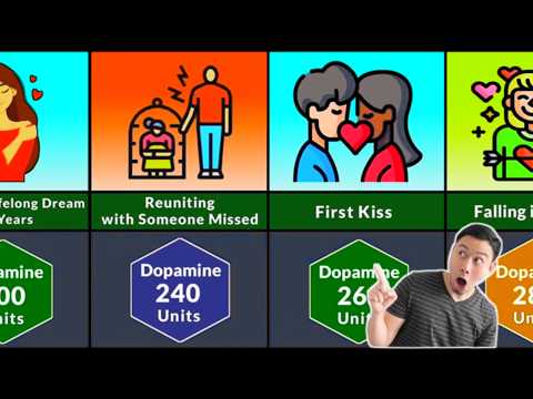 The Science of Pleasure: 40 Things That Feel Amazing to Humans