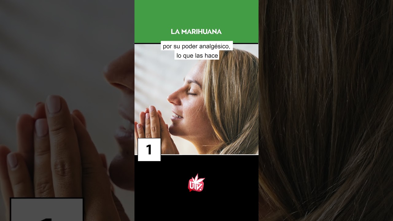 5 EFECTOS de las FLORES de CBD ☘💚