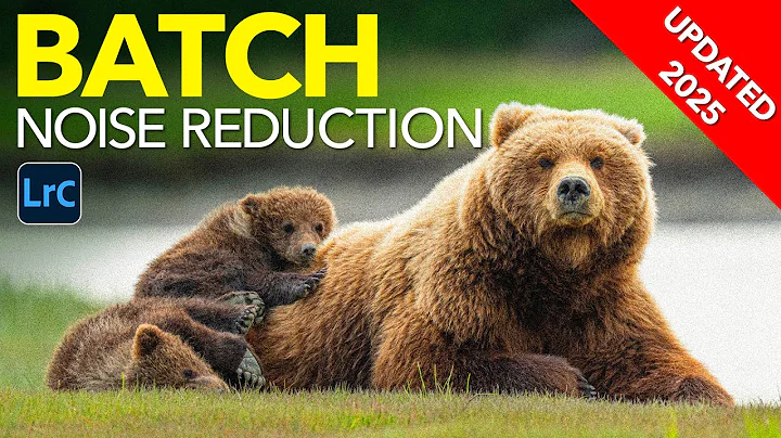 The NEW Way to Batch Noise Reduction in Lightroom
