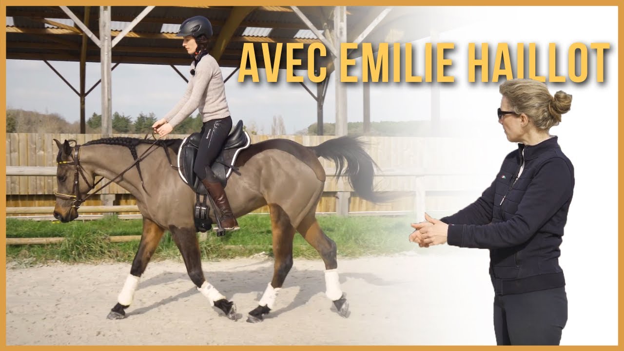 Encourager le cheval à venir chercher le contact