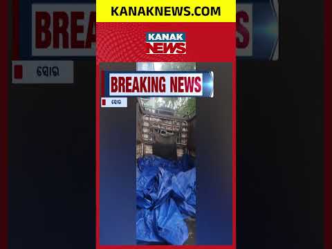 Soro Illegal Liquor Raid | Excise Team Attacked, Vehicle Damaged in Stone-Pelting