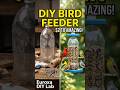 Watch Me Transform a Plastic Bottle Into a Beautiful Bird Feeder