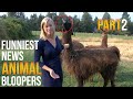 Funniest Animal Bloopers on Live TV Part 2