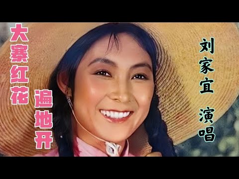 1964 年刘家宜独唱《一花引来万花开》大寨红花遍地开 火红年代 - YouTube