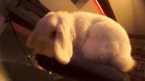 Piston Honda MKIII drone - eurorack modular synth