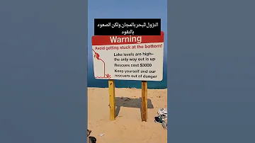 اغرب بحر في العالم نزول مجاني والصعود بثمن خيالي Playa Beach America Plage Fyp Explore Fypシ 