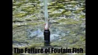 Yet another fail compilation