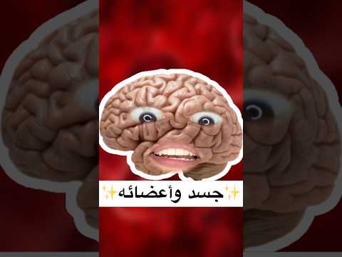مخ حازم جسد وأعضائه ٣ العقل القلب