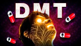 The Dark Secret They Hid From the World