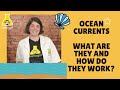 Protecting Our Oceans Through Understanding Currents and Ecosystems