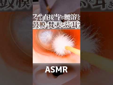 【ASMR】鼓膜コショコショ👂梵天が直に当たっちゃう耳かきの音😂安眠不可避の気持ち良さ🥰ポッカリ開いたいつもより大きな耳穴でふわふわ耳掃除🔁ループ再生推奨🎧てか1分で寝落ち🤤睡眠導入😪 #shorts