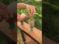 Clever Gardening Tips Using Old Water Bottles Space Saving and Practical #OldWaterBottles