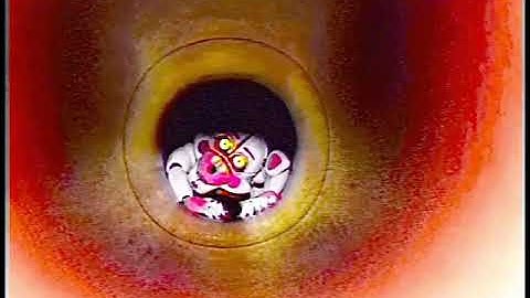 (FNAF/VHS) Tunnel Vision