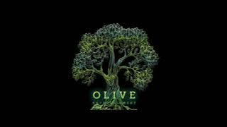Lao Duang Duen - A traditional Thai song I Cover by Olive Oil ( Short Audio Version)
