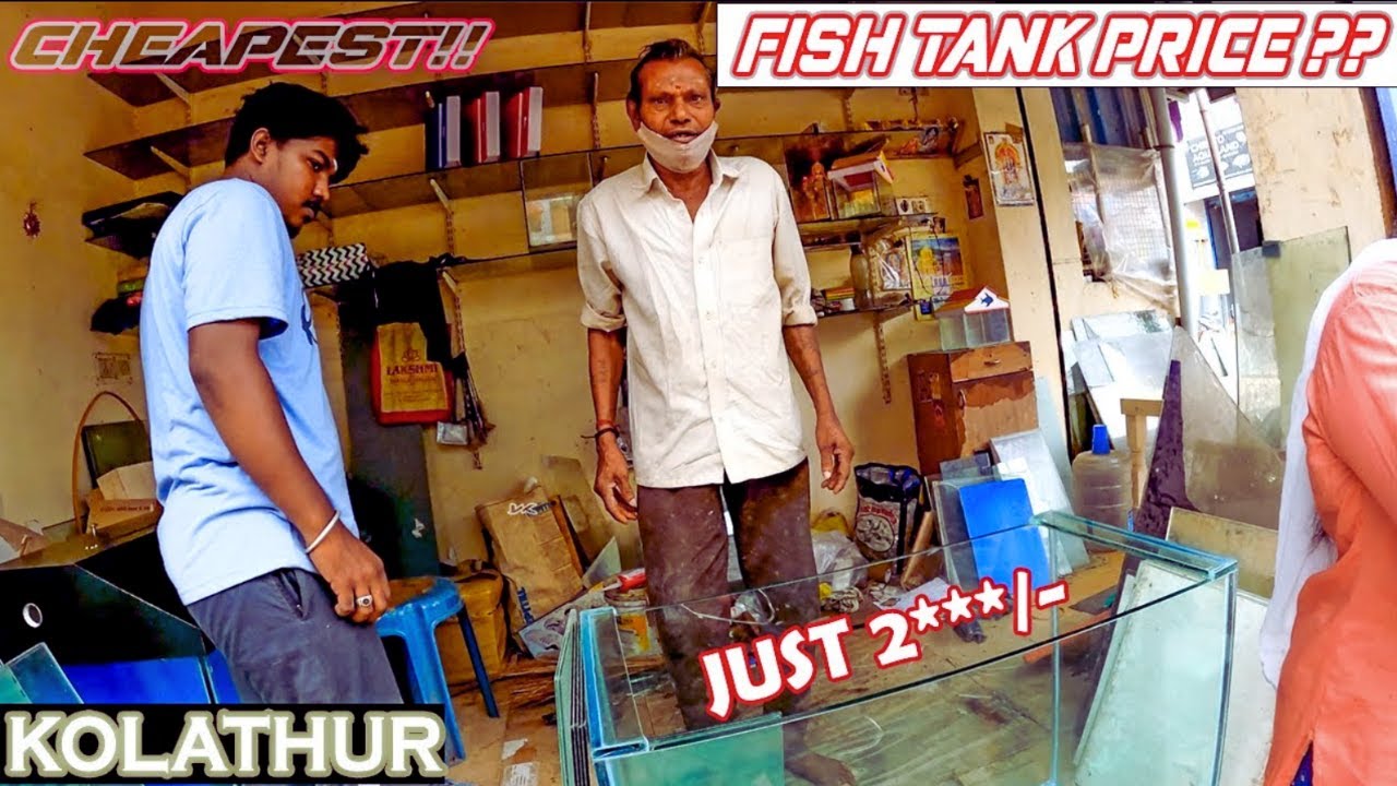 Cheapest aquarium shop in kolathur fish market chennai | finding the cheapest fishtank shop in tamil