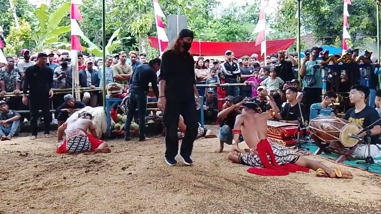 Jaran kepang Turongg Mudo Budoyo kiyudan suroworejo banyurrip Purworejo 