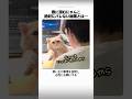 寮に潜むにゃんこ、絶対にバレない秘策とは…