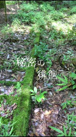 眠りし祖靈 【廢墟,废墟,폐허】