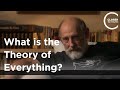 Leonard Susskind - What is the Theory of Everything?