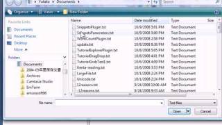 EmEditor Text Editor Snippets Plug-in