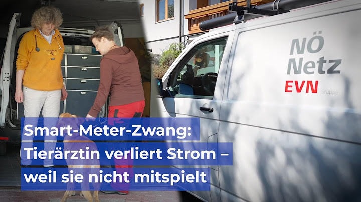 Smart-Meter-Zwang: Tierärztin verliert Strom – weil sie nicht mitspielt