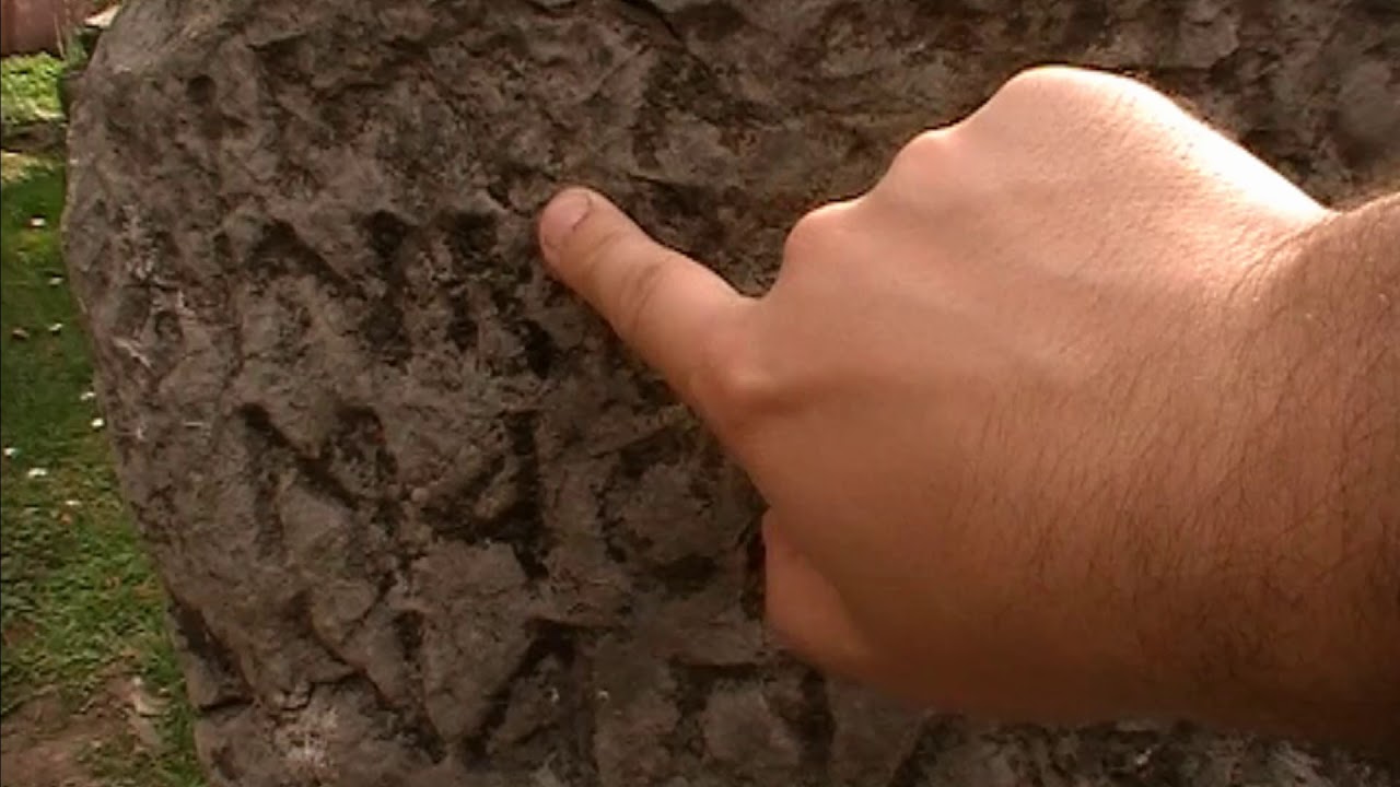 Stećak Stojana Utolovića Živinice