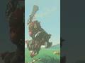 This fight is going to take forever… (Zelda BOTW) #zelda