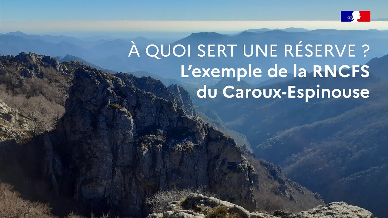 À quoi sert une réserve ? L’exemple de la RNCFS du Caroux-Espinouse