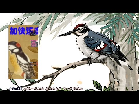 男性向 中文音声 ASMR 大艺术嘉 高能啄木鸟口腔音 一杆到底 Mouth Sounds 