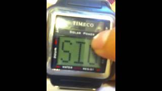 timeco watch