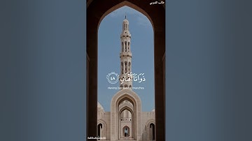 طالب القنوبي | سورة الرحمن