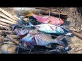 Spearfishing Trelawny Jamaica 🇯🇲 | Catch N Cook