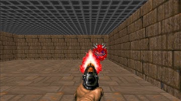 ViZDoom test - visual Reinforcement Learning (basic example)