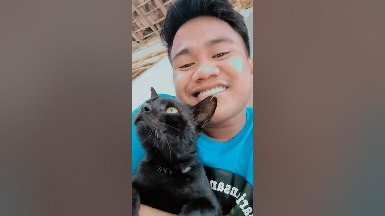 Ber Sma Kucing Garong Youtube