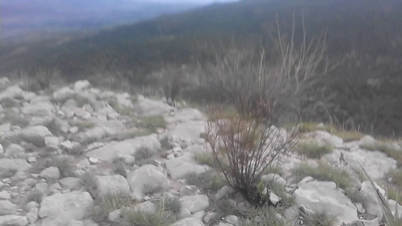 Look the beauty of nature in hangu mountain. ..