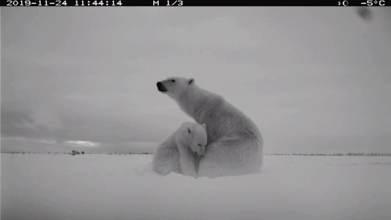 Fellwinter - Flight of Occult Dreams 