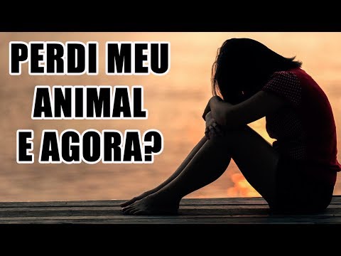 Vídeo: Como Lidar Com A Perda De Um Animal De Estimação