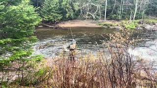 IMG 3597