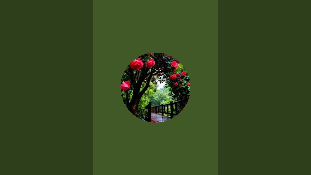 Ful Masti💯#trending#music#viral#love #youtubeshorts#reels#funny#comedy #shorts#shortvideo#dance#edit