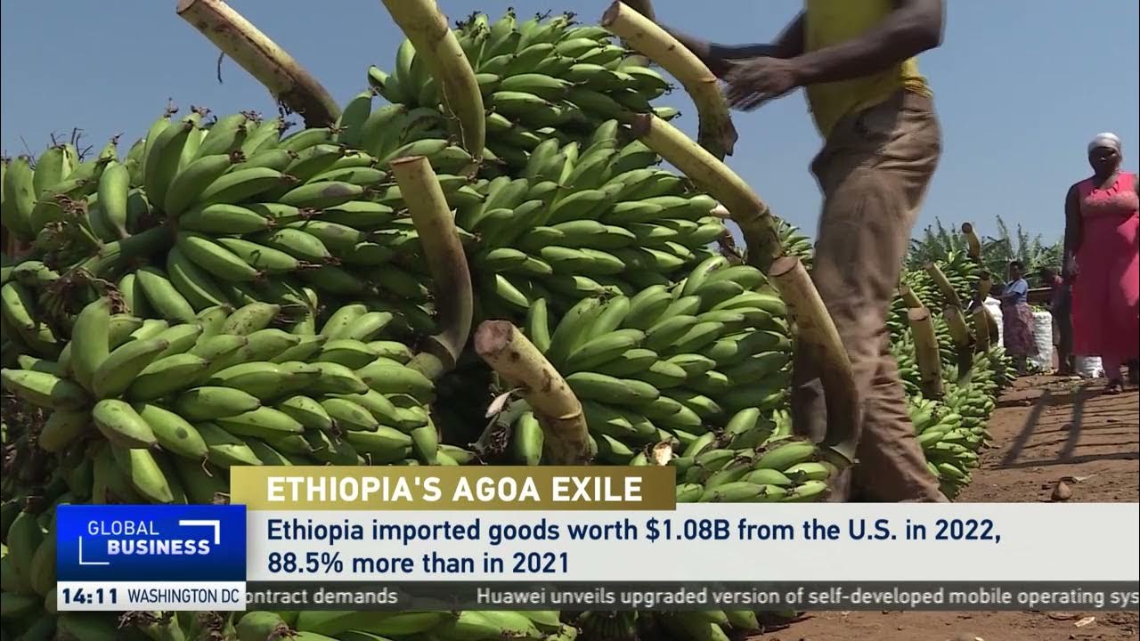 Ethiopia-U.S. export volumes rose 19.4% to $717.7 million in 2022