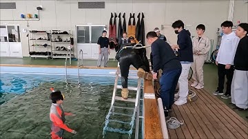 洋野町 種市高校南部もぐり潜水体験2025