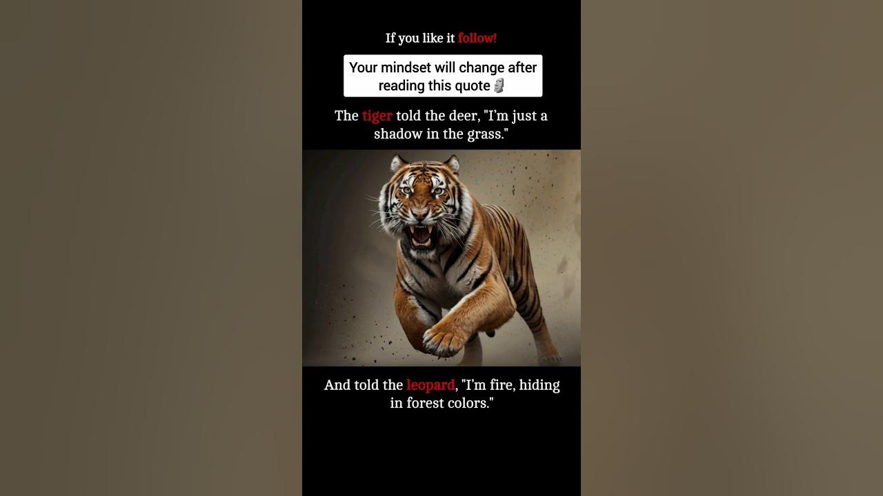 The 'Tiger'🐅 told the deer 🦌🌳 #life #motivation The 'Tiger'🐅 told the deer 🦌🌳 #life #motivation
