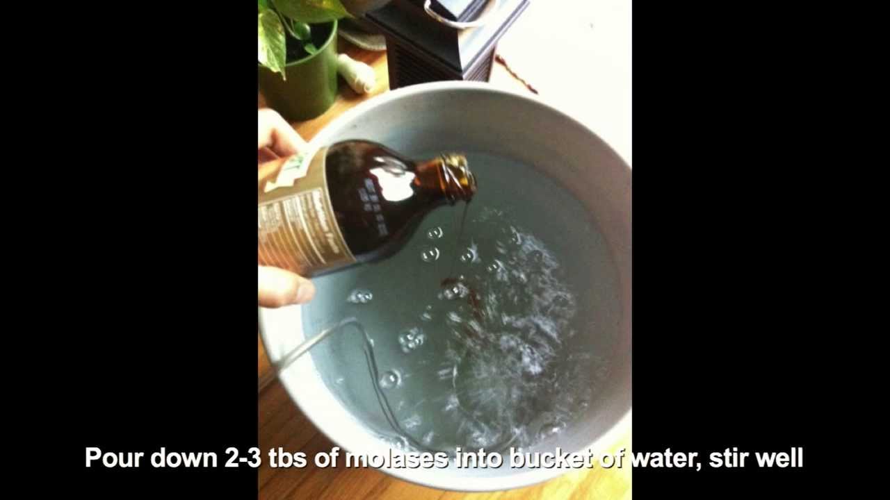 compost tea, Super Easy