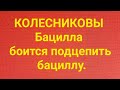 Семья Колесниковых/Обзор.