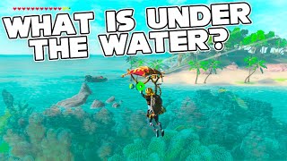 What is hiding in Breath of the Wilds Oceans | shorts