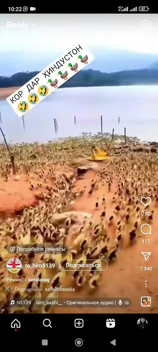 Чои кор дар Хиндустон 😂😂 - YouTube