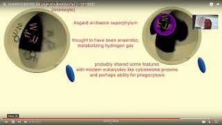 EUKARYOGENESIS: evolution of eukaryotes