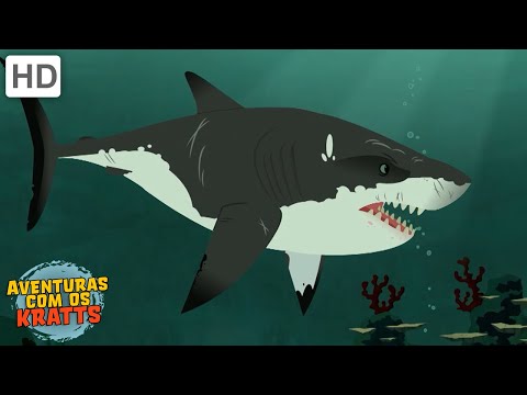 Criaturas de água | Tubarões, crocodilos + mais! [episódios completos] Aventuras com os Kratts