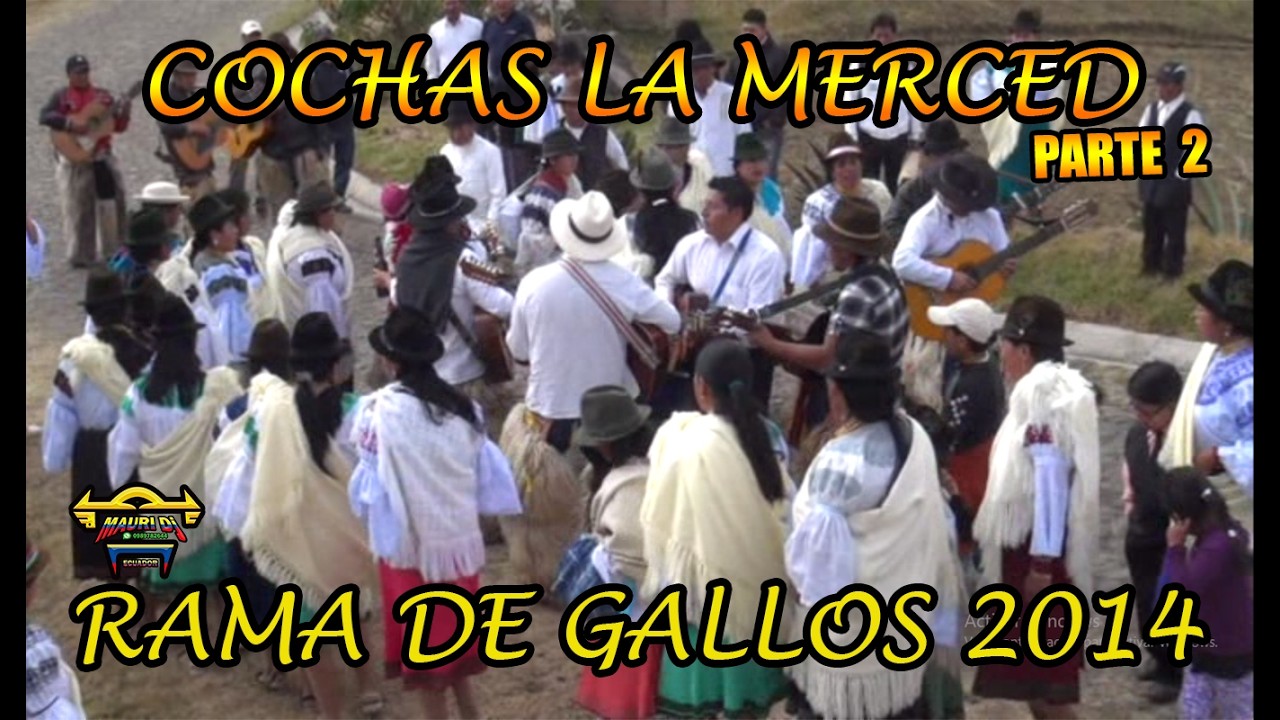 COCHAS LA MERCED  2014 // PARTE 2 // RAMA DE GALLOS // MAURI EL CHICHERO