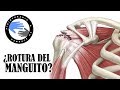 ¿Dolor de hombro? 3 test para saber si tu manguito rotador tiene una lesion o esta roto